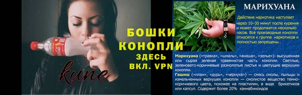 дживик Дмитровск