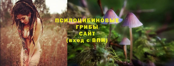 дживик Дмитровск