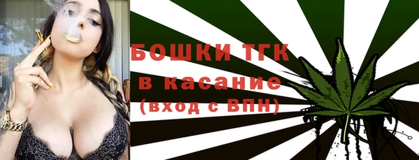 дурь Гусев