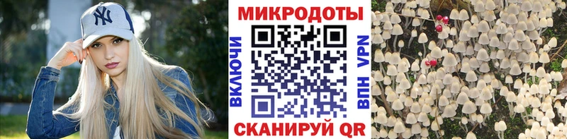 Галлюциногенные грибы GOLDEN TEACHER что такое Дюртюли